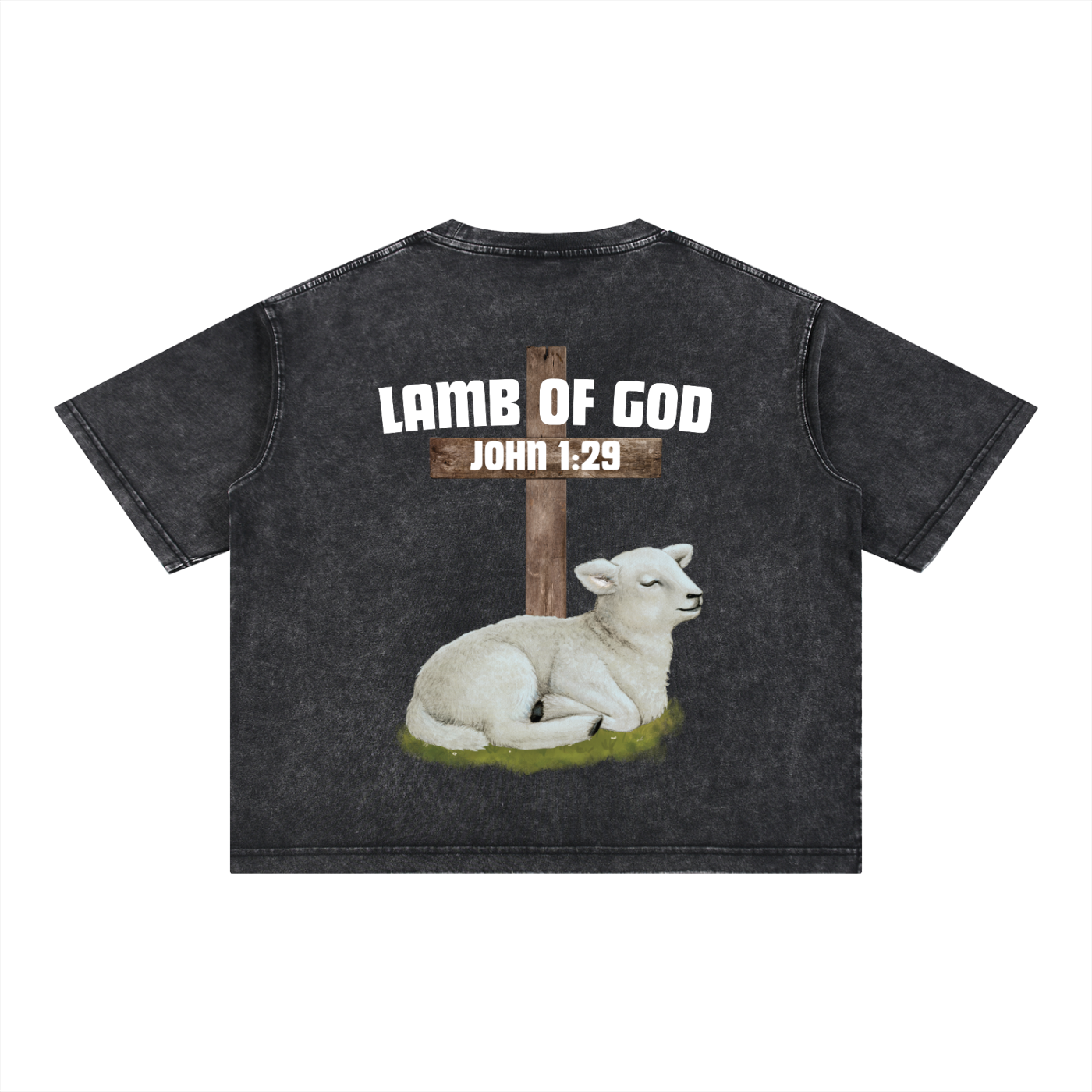 Scripture,Lamb,Washed