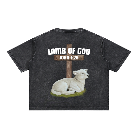 Scripture,Lamb,Washed